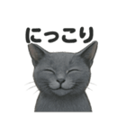 リアルなロシアンブルーの日常感情日記（個別スタンプ：7）