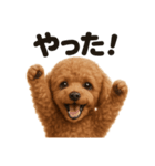 リアルなトイプードルの日常感情日記（個別スタンプ：13）