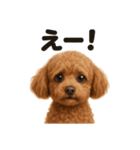 リアルなトイプードルの日常感情日記（個別スタンプ：14）
