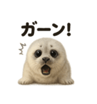 リアルすぎるワモンアザラシの感情日記（個別スタンプ：4）