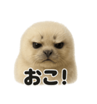 リアルすぎるワモンアザラシの感情日記（個別スタンプ：9）