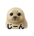 リアルすぎるワモンアザラシの感情日記（個別スタンプ：10）