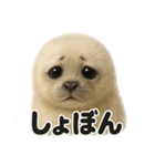 リアルすぎるワモンアザラシの感情日記（個別スタンプ：11）