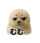 リアルすぎるワモンアザラシの感情日記（個別スタンプ：12）