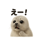 リアルすぎるワモンアザラシの感情日記（個別スタンプ：13）