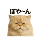 リアルなペルシャ猫の日常感情日記（個別スタンプ：2）