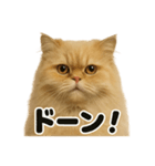 リアルなペルシャ猫の日常感情日記（個別スタンプ：6）