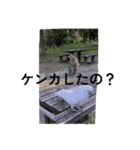 タイハクオウムのパクチー2（個別スタンプ：5）