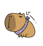 100円娯楽(税抜)＆ごらカピ LINEスタンプ（個別スタンプ：25）