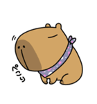 100円娯楽(税抜)＆ごらカピ LINEスタンプ（個別スタンプ：27）