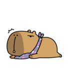 100円娯楽(税抜)＆ごらカピ LINEスタンプ（個別スタンプ：30）