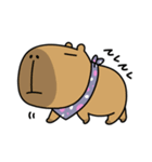 100円娯楽(税抜)＆ごらカピ LINEスタンプ（個別スタンプ：31）