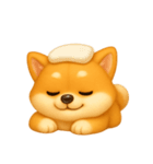 ふわかわ日和：柴犬（個別スタンプ：6）