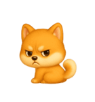 ふわかわ日和：柴犬（個別スタンプ：13）