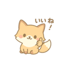 「こん吉」ほっこり癒しスタンプ（個別スタンプ：4）