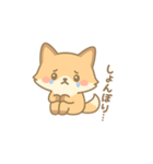 「こん吉」ほっこり癒しスタンプ（個別スタンプ：13）