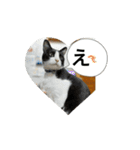 Ongaisimasuuuu（個別スタンプ：5）