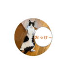 Ongaisimasuuuu（個別スタンプ：12）