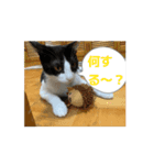 Ongaisimasuuuu（個別スタンプ：14）