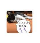 Ongaisimasuuuu（個別スタンプ：15）