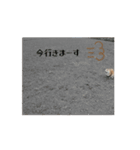 あずき 柴犬 2（個別スタンプ：1）