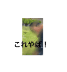 fotnito（個別スタンプ：1）
