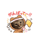 あずき＆くるみのスタンプ（個別スタンプ：5）