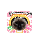 あずき＆くるみのスタンプ（個別スタンプ：11）