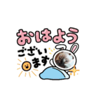 あずき＆くるみのスタンプ（個別スタンプ：14）