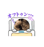 あずき＆くるみのスタンプ（個別スタンプ：16）