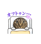 白山田鈴木ラテ（個別スタンプ：8）