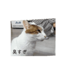 あなれ（個別スタンプ：8）