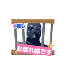 玉三郎初のLINEスタンプ（個別スタンプ：8）