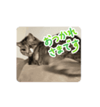 動く！そらの毎日part1（個別スタンプ：2）