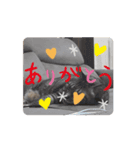 動く！そらの毎日part1（個別スタンプ：3）