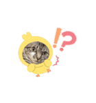 動く！そらの毎日part1（個別スタンプ：5）