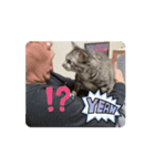 動く！そらの毎日part1（個別スタンプ：7）