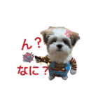 mix犬の挨拶スタンプ（個別スタンプ：8）
