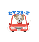 mix犬の挨拶スタンプ（個別スタンプ：11）
