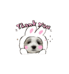 mix犬の挨拶スタンプ（個別スタンプ：12）