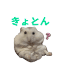 こめすたぴのすたすたすたんぷ（個別スタンプ：1）