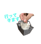 こめすたぴのすたすたすたんぷ（個別スタンプ：3）