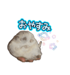 こめすたぴのすたすたすたんぷ（個別スタンプ：6）