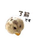 こめすたぴのすたすたすたんぷ（個別スタンプ：7）