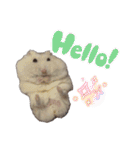 こめすたぴのすたすたすたんぷ（個別スタンプ：8）