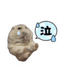 こめすたぴのすたすたすたんぷ（個別スタンプ：11）