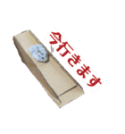こめすたぴのすたすたすたんぷ（個別スタンプ：12）