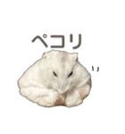 こめすたぴのすたすたすたんぷ（個別スタンプ：18）