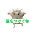こめすたぴのすたすたすたんぷ（個別スタンプ：25）