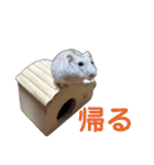 こめすたぴのすたすたすたんぷ（個別スタンプ：27）
